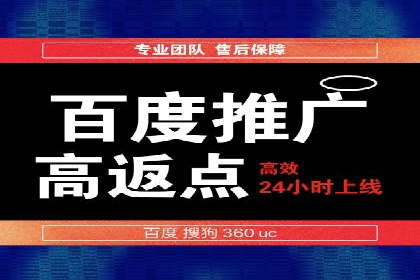 成功SEM服务案例：优化广告投放